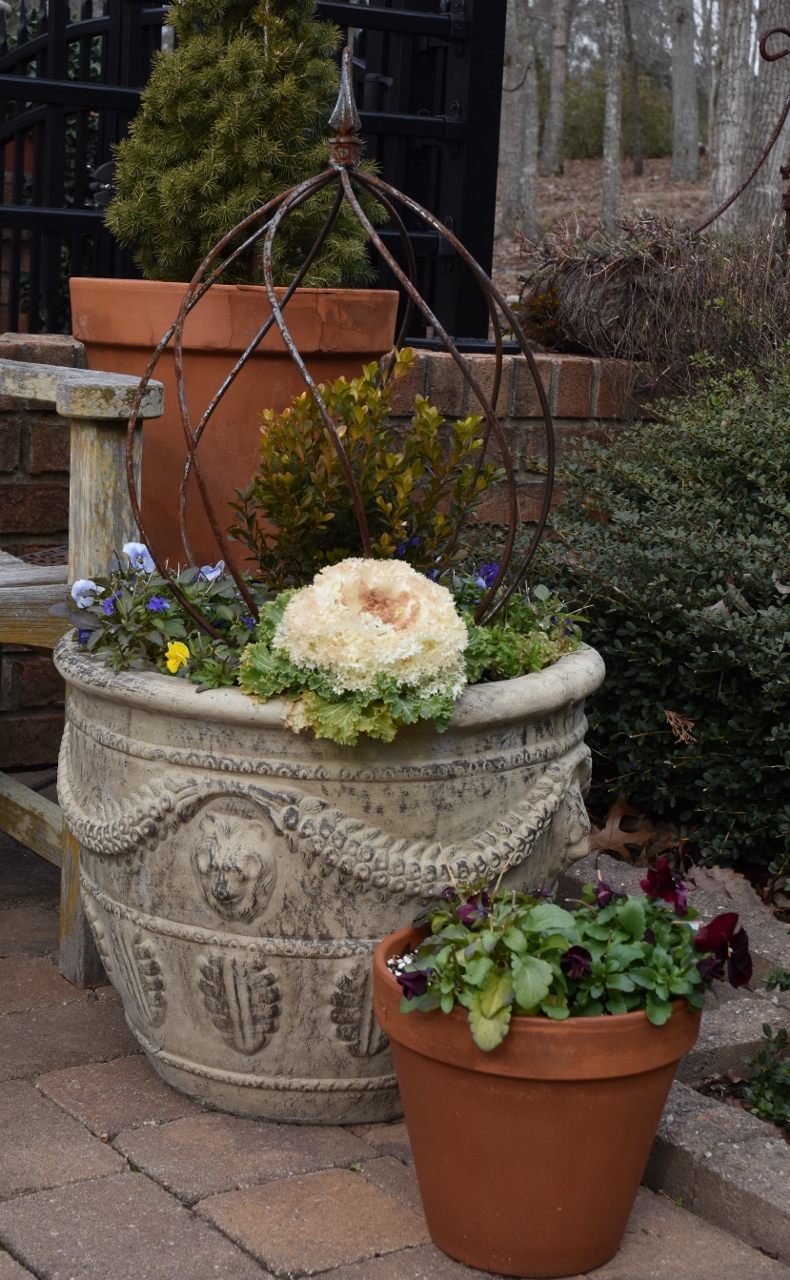 Container Gardening Windyhill Daylily Garden